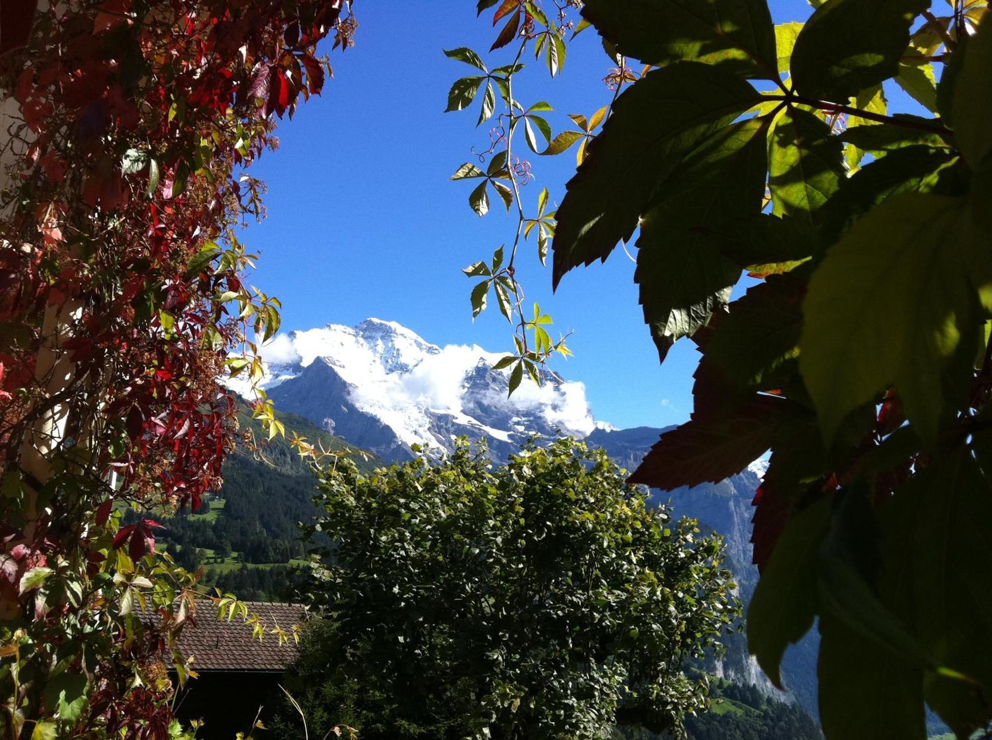 Hotel Bellevue - Traditional Swiss Hideaway Wengen Dış mekan fotoğraf